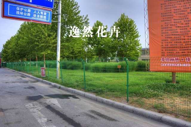 中牟市政道路观赏草案例效果
